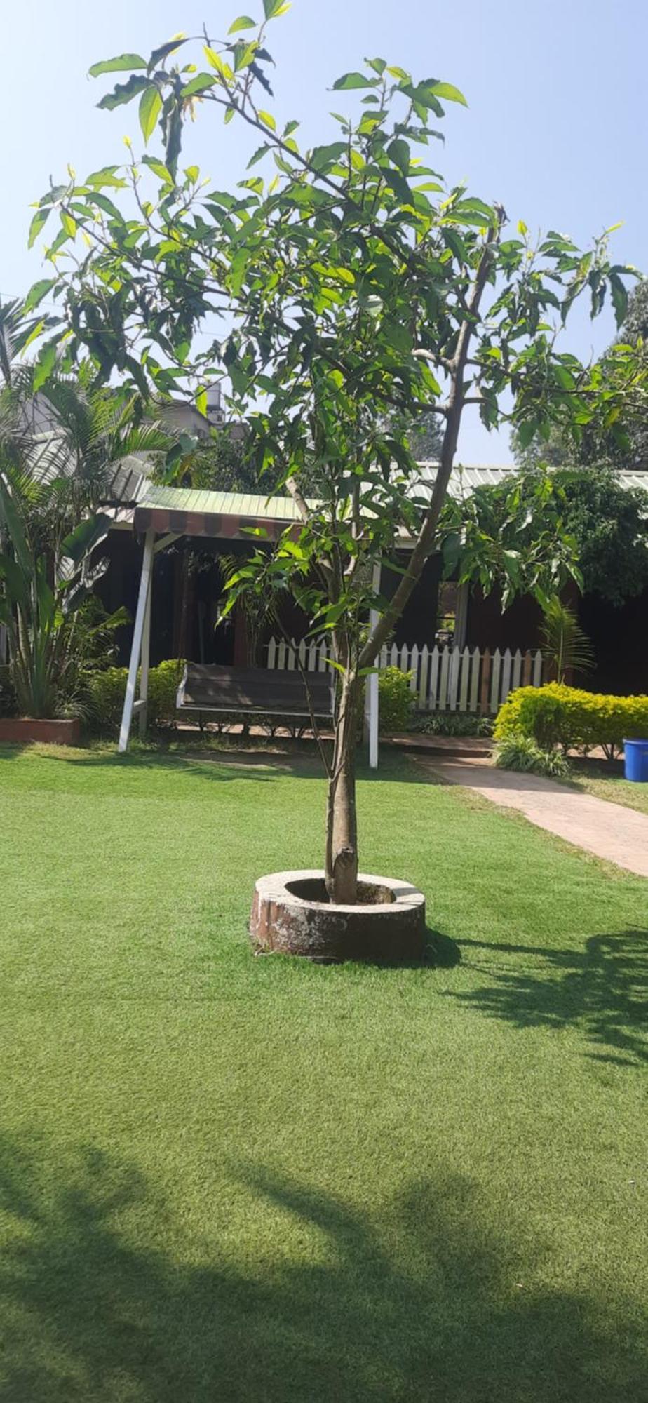 Hotel Oakwood Mahābaleshwar Esterno foto